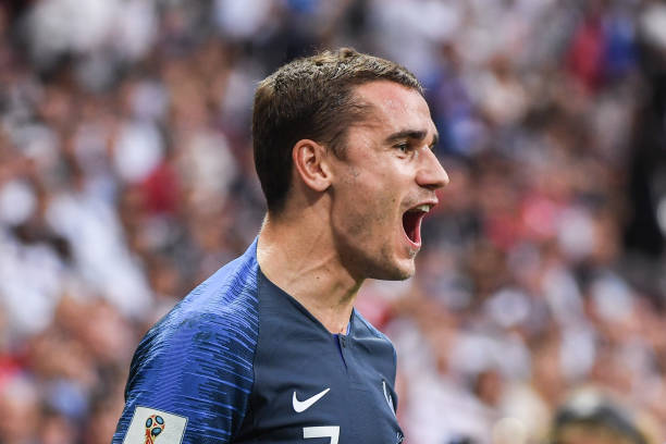 展现出显著 展现出显著